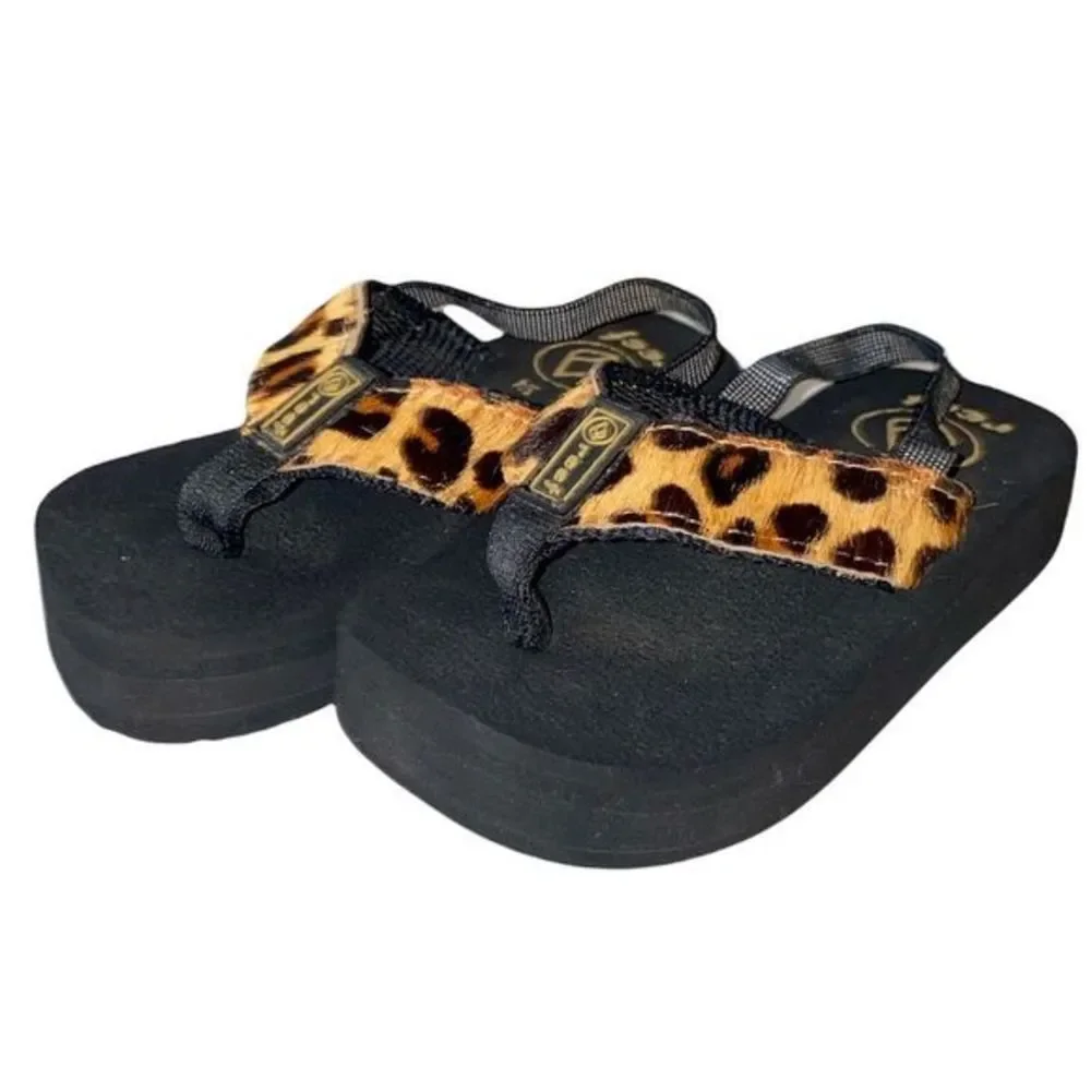 infant cheetah reefs platforms